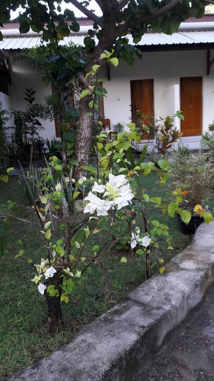 Herry Homestay Kuta  Exterior foto