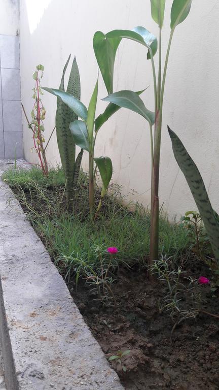 Herry Homestay Kuta  Exterior foto